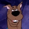 Scooby Faces 7