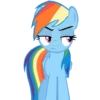 Rainbow Dash Pony 8