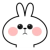 Ati's Spoiled Rabbit 7