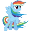 Rainbow Dash Pony 9