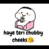 Quby 8