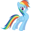 Rainbow Dash Pony 12