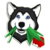 Reisenderra's Husky 8