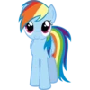 Rainbow Dash Pony 16