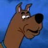 Scooby Faces 21
