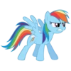 Rainbow Dash Pony 20