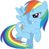 Rainbow Dash Pony 22