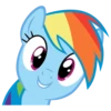 Rainbow Dash Pony 24