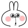 Ati's Spoiled Rabbit 28