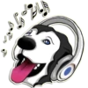 Reisenderra's Husky 13