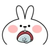 Spoiled Rabbit Smile Person Small Smile 29