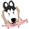Reisenderra's Husky 14