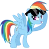 Rainbow Dash Pony 28