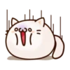 Round and Pretty Cat 5