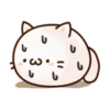 Round and Pretty Cat 6