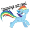 Rainbow Dash speaks 8