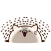 Round and Pretty Cat 7