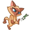 Siamese Kitty 6