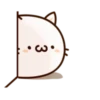 Round and Pretty Cat 9