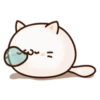 Round and Pretty Cat 10