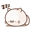 Round and Pretty Cat 11