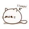 Round and Pretty Cat 13