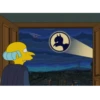 Simpsons 15