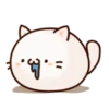 Round and Pretty Cat 14