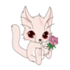 Pinky Cat 13