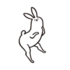 rabbit with beautiful 7