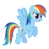 Rainbow Dash EG 11