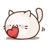 Round and Pretty Cat 16