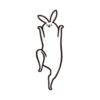 rabbit with beautiful 11