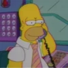 Simpsons2 17