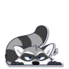 Rosco Raccoon 11