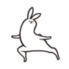 rabbit with beautiful 14