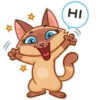 Siamese Kitty 11
