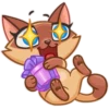 Siamese Kitty 12