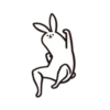 rabbit with beautiful 15