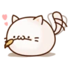 Round and Pretty Cat 20