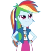 Rainbow Dash EG 14