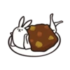 rabbit with beautiful 16
