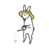rabbit with beautiful 17