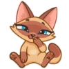 Siamese Kitty 17