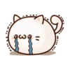 Round and Pretty Cat 25
