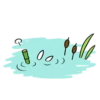 8,00