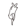 rabbit with beautiful 22