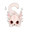 Pinky Cat 24