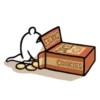 SETXOOO
COOKIES