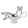 rabbit with beautiful 24